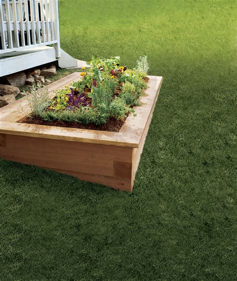 Transform Your Garden with the Most Stunning Landscape Around Raised ...