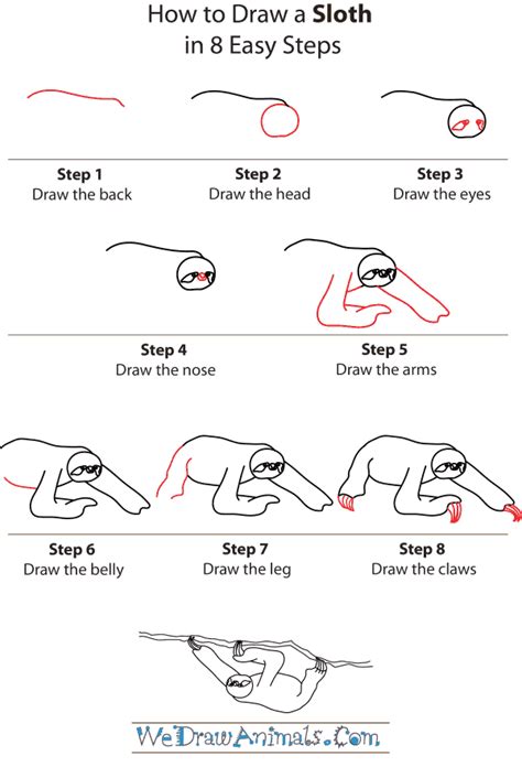 How to Draw a Sloth