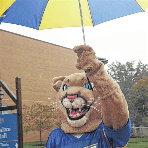 Dallas Post | Misericordia University Cougar is 30 years young