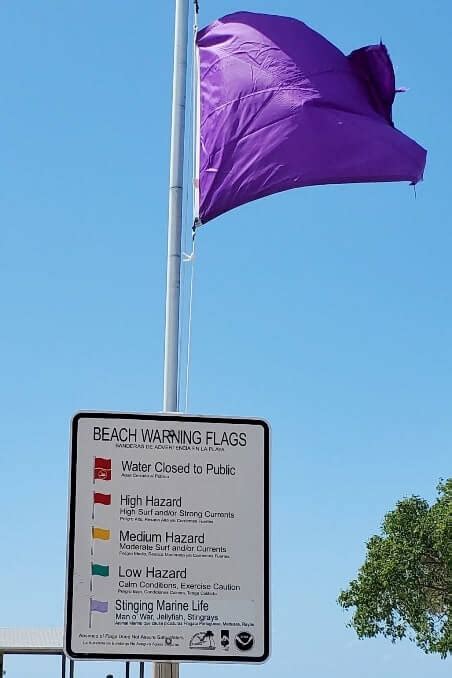 Purple Flag