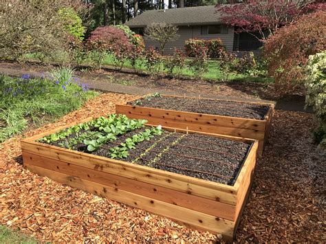 Raised Garden Beds — Portland Edible Gardens: Raised Garden Beds, Edible Landscaping, and ...