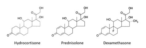 Drug vignettes: Dexamethasone - The Centre for Evidence-Based Medicine