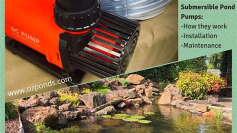 How Do You Install A Submersible Pump In A Pond? Trust The Answer ...