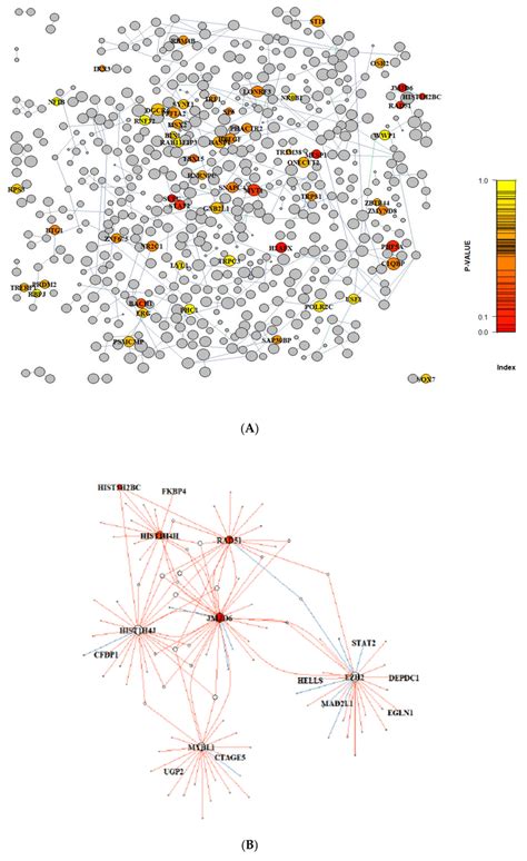 (A) Gene regulatory networks identified in preclinical human prostate... | Download Scientific ...