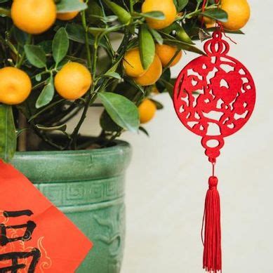 Learn About The Meaning Behind Lunar New Year Decorations