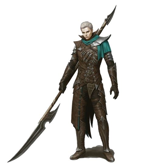 Human Male Polearm Fighter - Pathfinder PFRPG DND D&D d20 fantasy ...