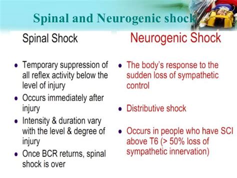 spinal shock syndrome | Nursing school survival, Emergency nursing, Lpn nursing school