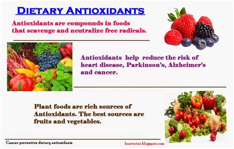 bonvictor.blogspot.com: Cancer preventive dietary antioxidants