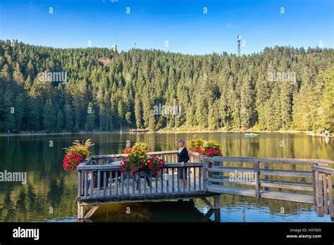 Mummelsee Lake, Black Forest, Baden Wurttemberg, Germany, Europe Stock ...