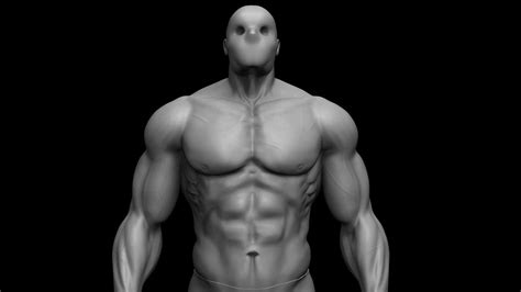 3d human body by Buzzzman 3D model | CGTrader