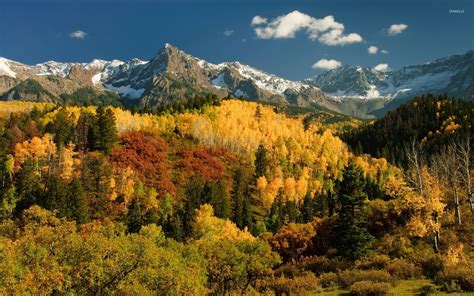 Autumn forest by the snowy peaks wallpaper - Nature wallpapers - #35882