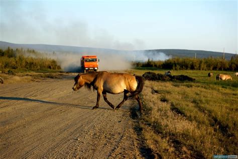 Verkhoyansk | photoreport - Best photos over the world