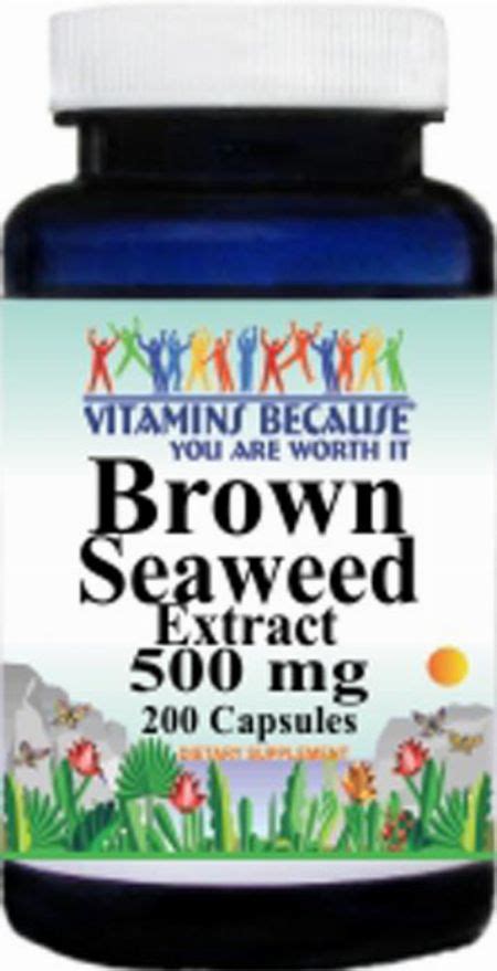 Brown Seaweed Extract 500mg 200caps 5% Fucoxanthin [ Nutrition & Food ...