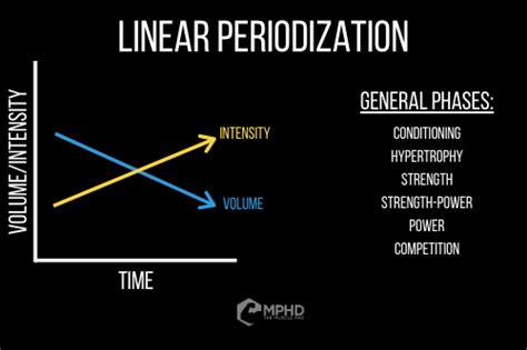 Periodization in Bodybuilding - The Muscle PhD