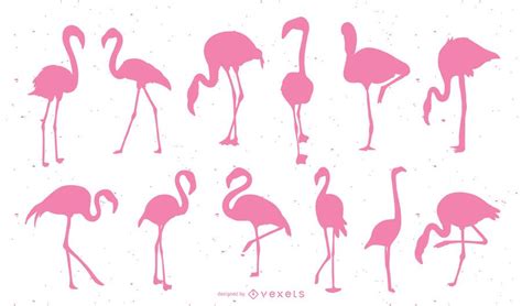Flamingo pink silhouette set - Vector download