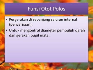 Otot | PPT