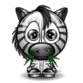 Zebra Emoticon | Symbols & Emoticons