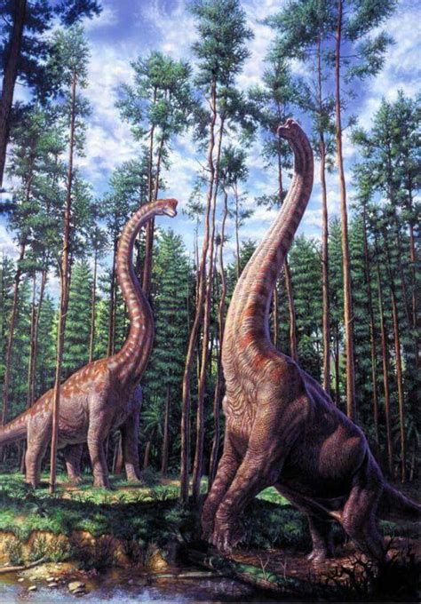 A pair of *Brachiosaurus altithorax feeding on tree tops. | Brachiosaurus, Prehistoric world ...