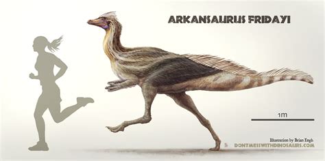 ARKANSAURUS: As dinosaur bill advances, UA grad makes case for scientific recognition | NWADG