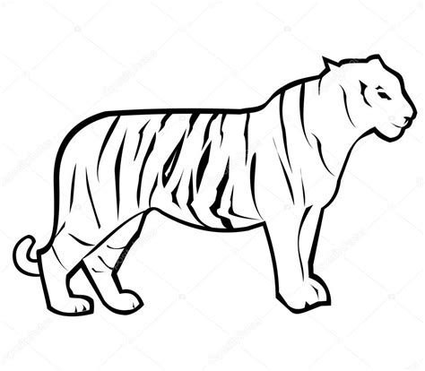 Tiger Outline Stock Vector Image by ©redrockerz99 #66469765