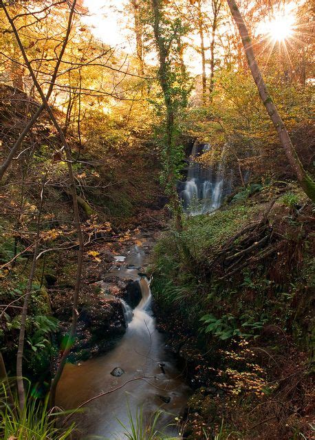 Glenariff Forest Park Waterfalls Autumn 2011 | Forest park, Waterfall, Park