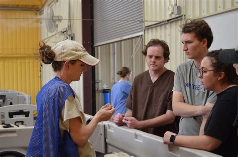 NBAF Laboratorian Training Program | Davis College | TTU