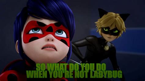 Funny Moments AMV I Miraculous Ladybug - YouTube