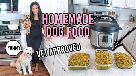 VET APPROVED HOMEMADE + HEALTHY DOG FOOD RECIPE | COOKING FOR YOUR DOG | PART 4 - YouTube