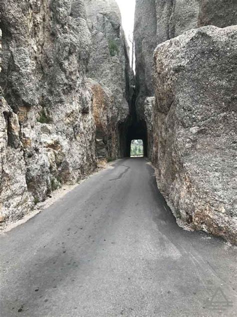 The Needles Eye Tunnel in Custer State Park - TRIPS TIPS and TEES | Custer state park, South ...