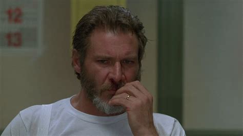 The Fugitive (1993) - Taste