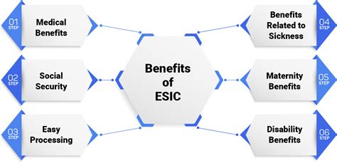 ESI Return Filing | ESI Return Online | Enterslice