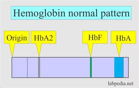 Hemoglobin:- Part 2 - Hemoglobin Electrophoresis, (Hb electrophoresis) - Labpedia.net