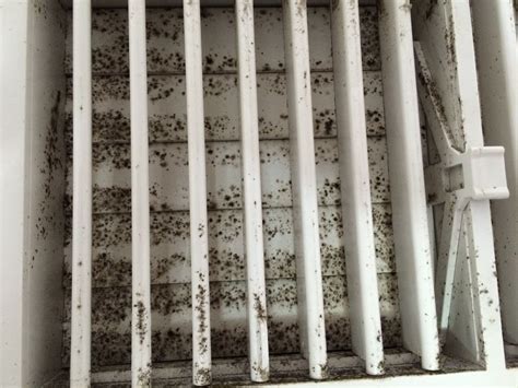 air conditioning - Is this mold on my AC vent? - Home Improvement Stack ...