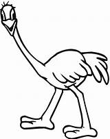 Free Printable Ostrich Coloring Pages For Kids sketch template