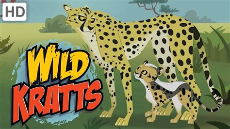 Cheetah wild kratts game