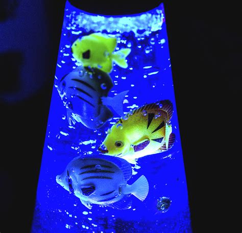 Lava Lamp Aquarium Review - With a Splash of Color