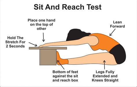 Sit And Reach Test FitnessGram 2023