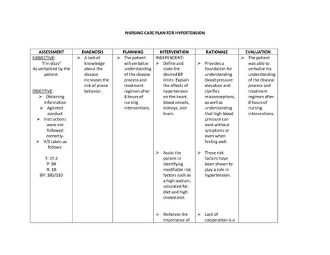 Hypertension Nursing Care Plan Docx Document – NBKomputer