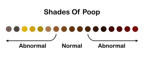 Human feces color. Shades color of poop. Normal and abnormal value scale. Healthy concept ...