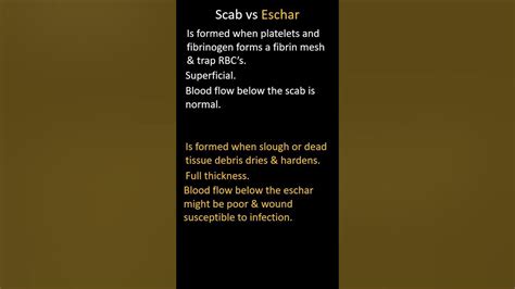 Scab vs Eschar - YouTube