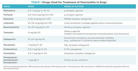 Is Zofran Bad For Dogs