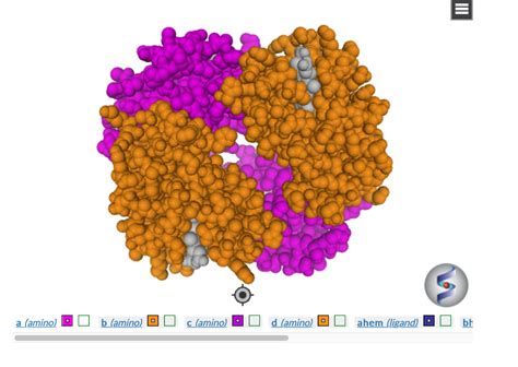 Solved 1. The quaternary structure of hemoglobin includes | Chegg.com