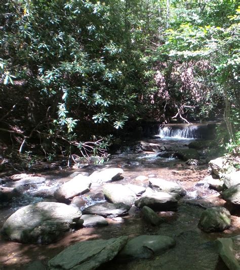 Hiking Up Amicalola Falls | Alexis Chateau