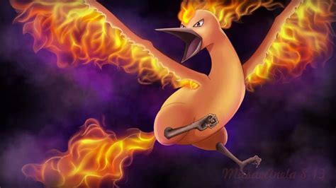 Legendary Fire Bird Pokemon