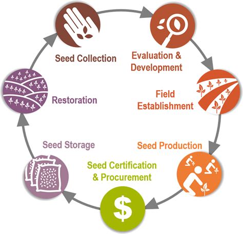 How to increase the supply of native seed to improve restoration success: the US native seed ...