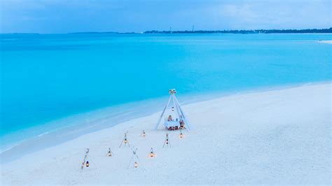 Two Person Walking on Beach · Free Stock Photo