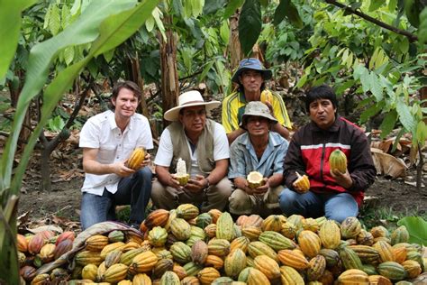 Support Your Local Cacao Farmer – Dancing Lion Chocolate