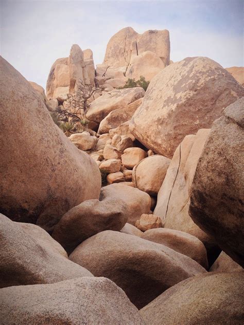 Joshua tree hidden valley and skull rock | Linuxpinguin.de