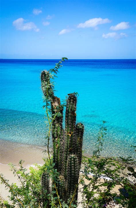 What Does DUSHI Mean? Learn it by Beautiful Curaçao Photos. – Around ...