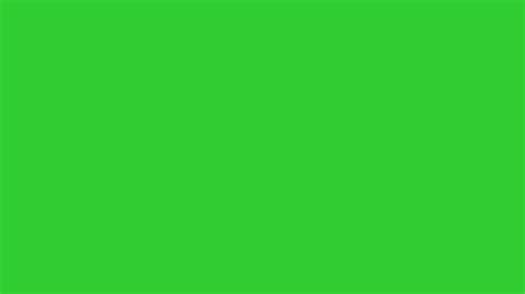 Lime Green Backgrounds (55+ pictures)